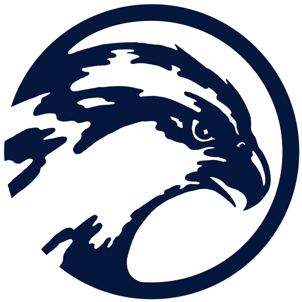 UNF Ospreys 0-1998 Primary Logo diy iron on heat transfer